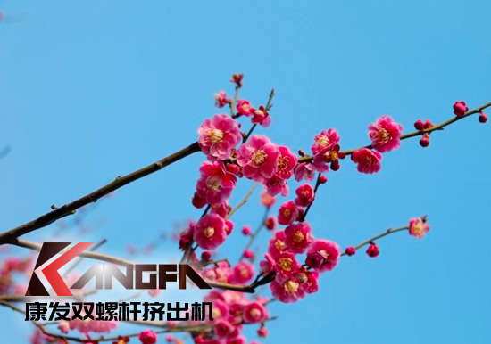 春光明媚,綠意盎然!康發(fā)雙螺桿擠出機組集中發(fā)貨