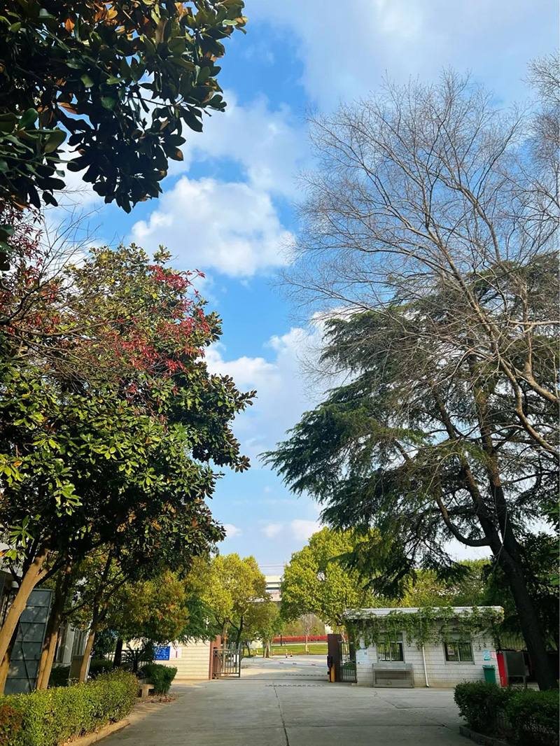極致的康發(fā)雙螺桿擠出機(jī)工匠精神，支撐著在追逐夢(mèng)想的旅程中穩(wěn)步邁進(jìn)。