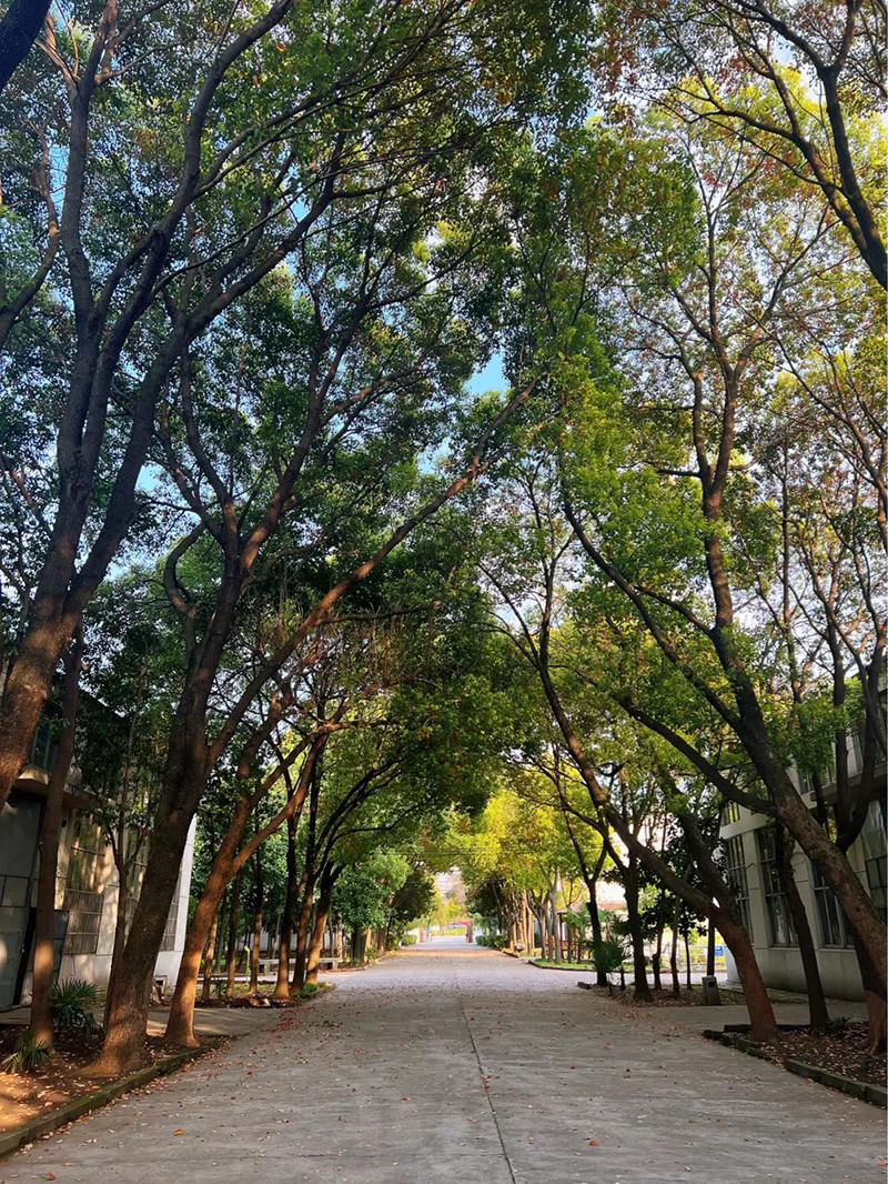 極致的康發(fā)雙螺桿擠出機(jī)工匠精神，支撐著在追逐夢(mèng)想的旅程中穩(wěn)步邁進(jìn)。