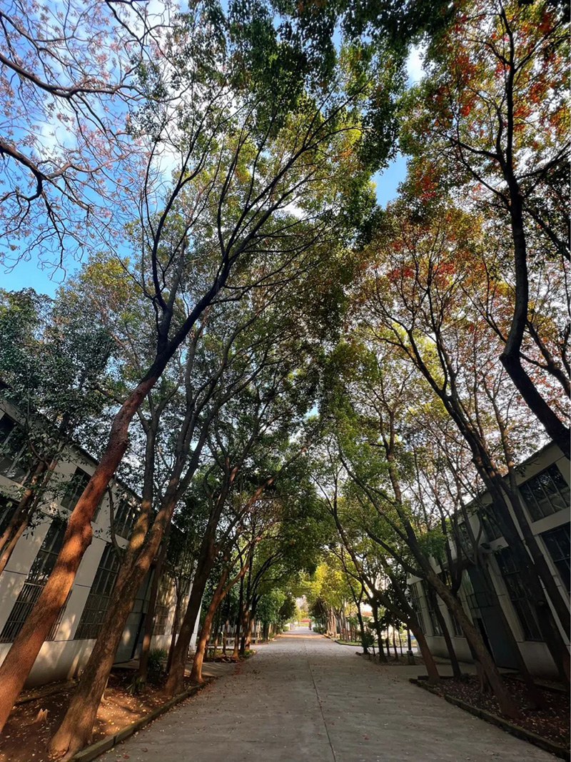 極致的康發(fā)雙螺桿擠出機(jī)工匠精神，支撐著在追逐夢(mèng)想的旅程中穩(wěn)步邁進(jìn)。
