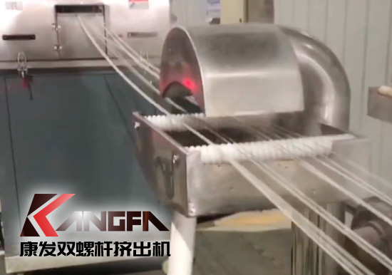 65高扭+PLC，尼龍加纖雙螺桿擠出機試機
